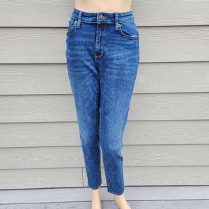 UNIVERSAL THREAD | Curvy Skinny Jeans